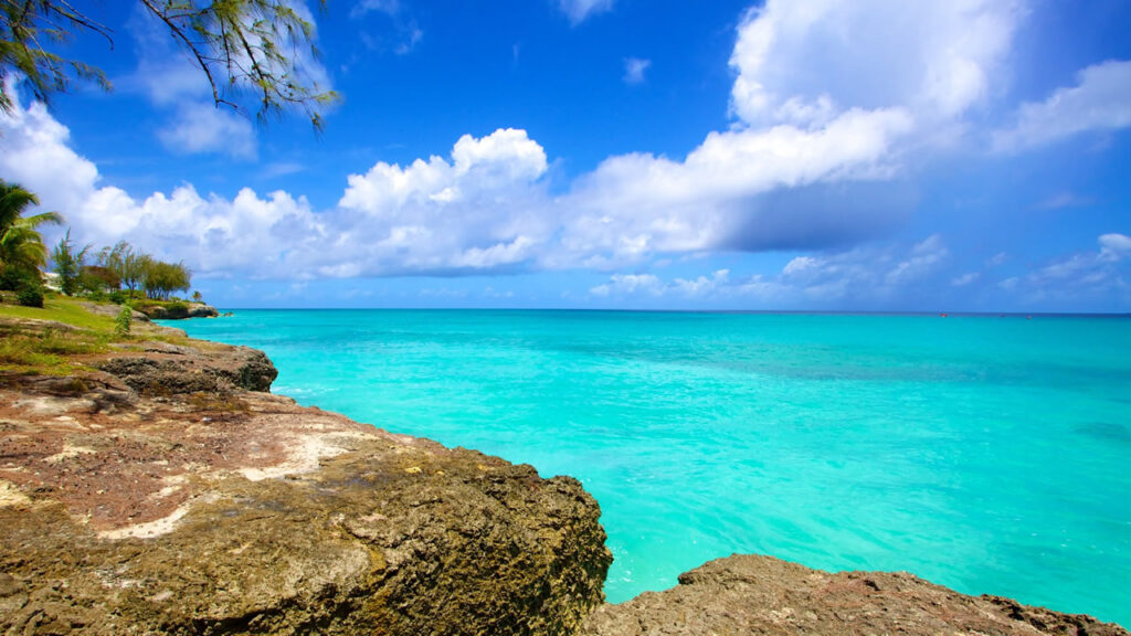 BARCO PACIFICA I - Rep. Dominicana, Antillas, Islas Vírgenes