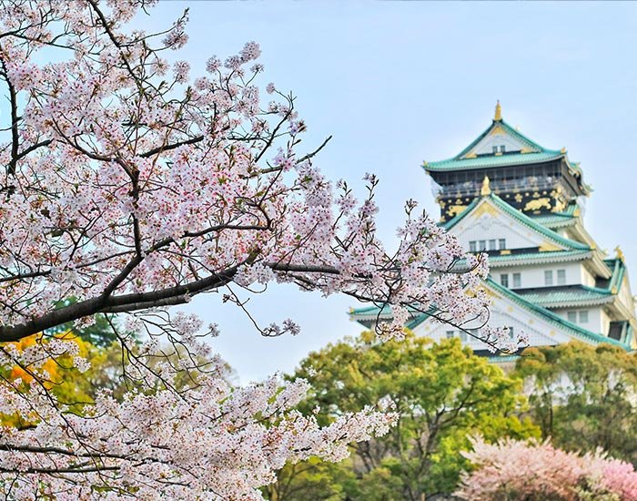 Japón completo, abril - marzo 2025 - 2026